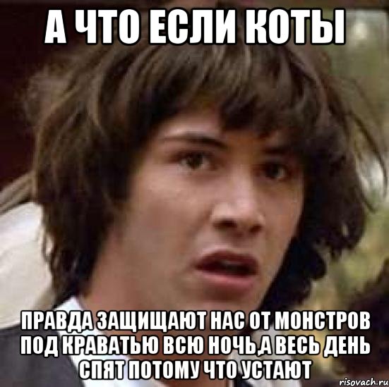 А что если коты правда защищают нас от монстров под краватью всю ночь,а весь день спят потому что устают, Мем А что если (Киану Ривз)