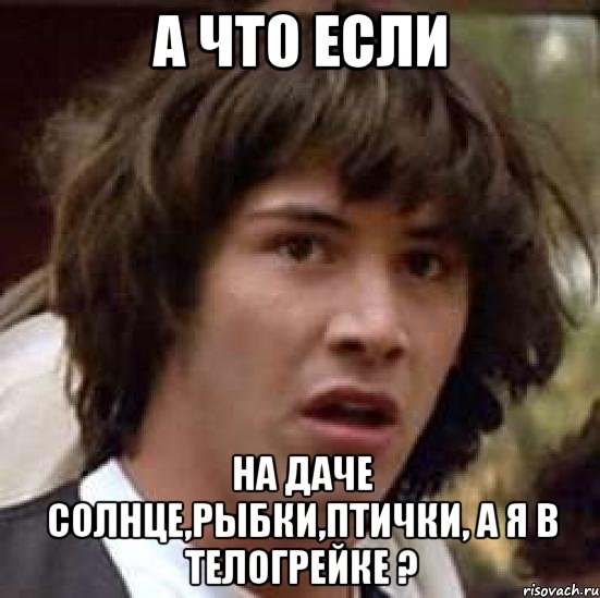 А ЧТО ЕСЛИ НА ДАЧЕ СОЛНЦЕ,РЫБКИ,ПТИЧКИ, А Я В ТЕЛОГРЕЙКЕ ?, Мем А что если (Киану Ривз)