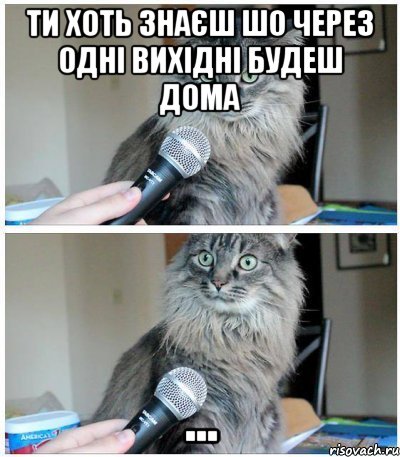 ти хоть знаєш шо через одні вихідні будеш дома ..., Комикс  кот с микрофоном