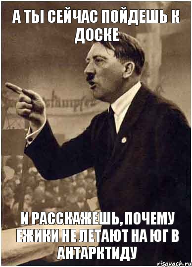 А ты сейчас пойдешь к доске И расскажешь, почему ежики не летают на Юг в Антарктиду, Комикс Адик