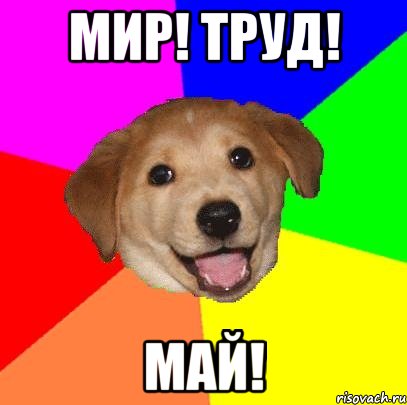 МИР! ТРУД! МАЙ!, Мем Advice Dog