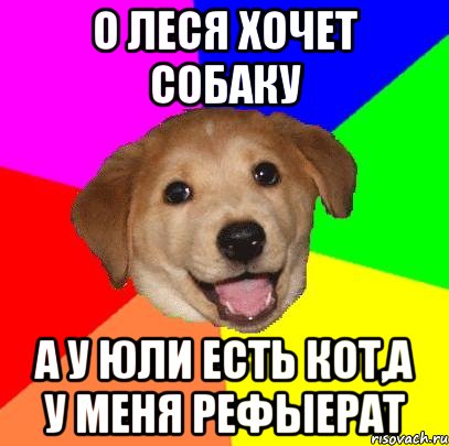 о леся хочет собаку а у юли есть кот,а у меня рефыерат, Мем Advice Dog