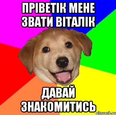 пріветік мене звати Віталік давай знакомитись, Мем Advice Dog