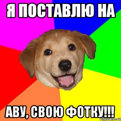 я поставлю на аву, СВОЮ ФОТКУ!!!, Мем Advice Dog