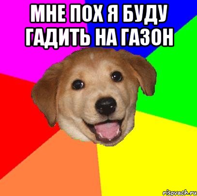 Мне пох я буду гадить на газон , Мем Advice Dog