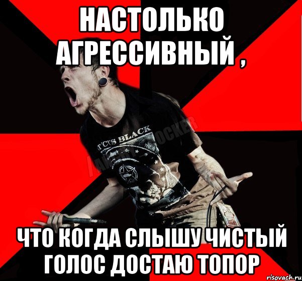 настолько агрессивный , что когда слышу чистый голос достаю топор, Мем Агрессивный рокер