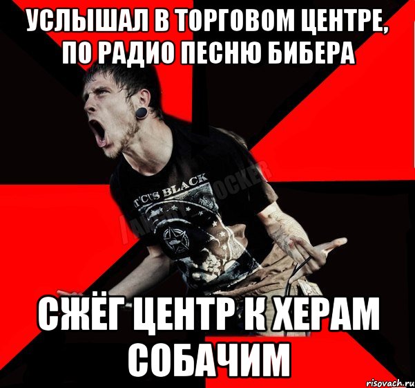 УСЛЫШАЛ В ТОРГОВОМ ЦЕНТРЕ, ПО РАДИО ПЕСНЮ БИБЕРА СЖЁГ ЦЕНТР К ХЕРАМ СОБАЧИМ, Мем Агрессивный рокер