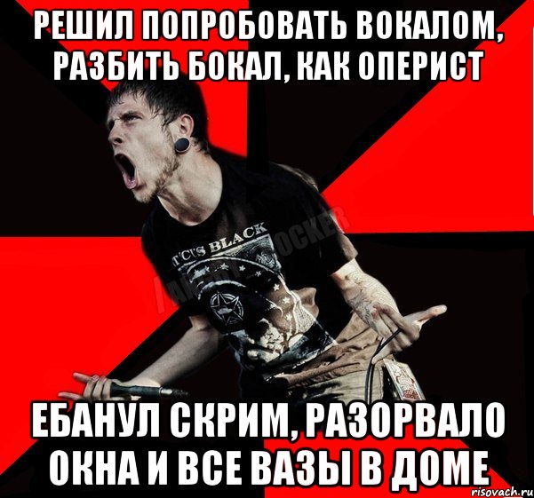 решил попробовать вокалом, разбить бокал, как оперист ебанул скрим, разорвало окна и все вазы в доме, Мем Агрессивный рокер