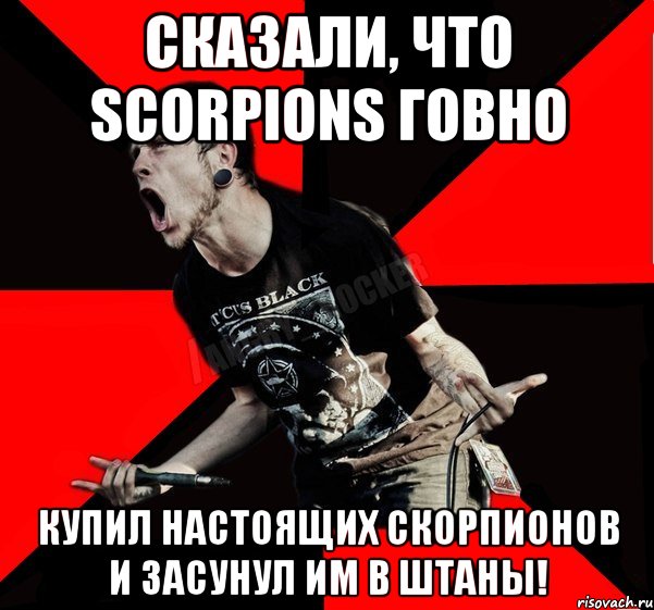 Сказали, что Scorpions говно Купил настоящих скорпионов и засунул им в штаны!, Мем Агрессивный рокер