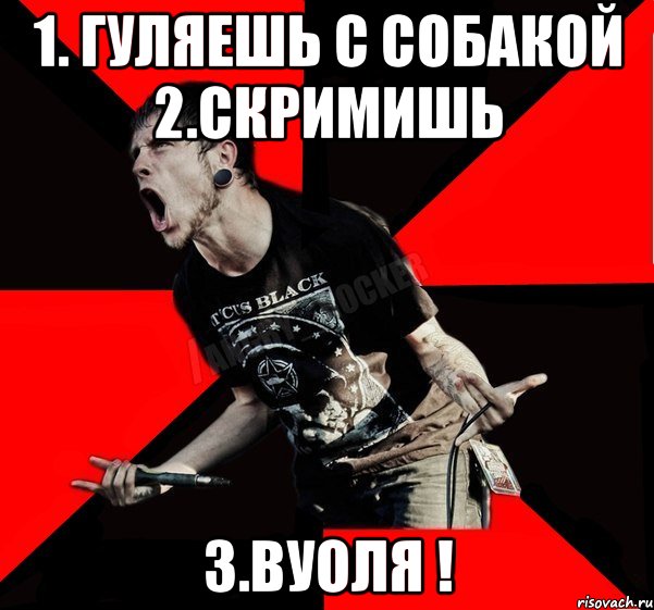 1. ГУЛЯЕШЬ С СОБАКОЙ 2.СКРИМИШЬ 3.ВУОЛЯ !, Мем Агрессивный рокер