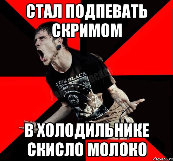 Стал подпевать скримом в холодильнике скисло молоко, Мем Агрессивный рокер