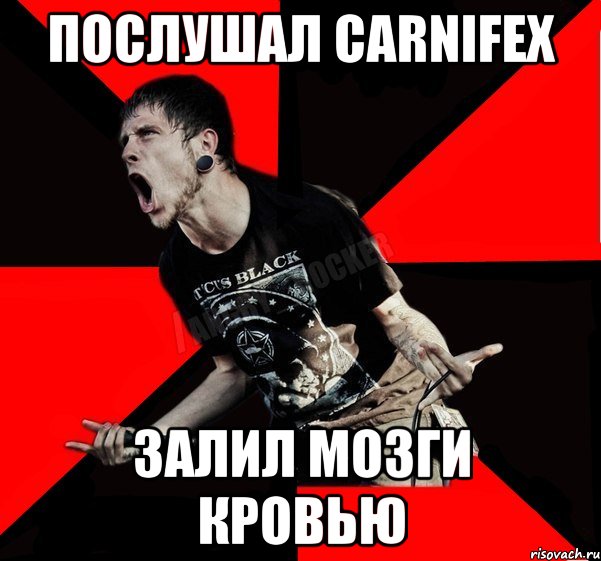 послушал carnifex залил мозги кровью, Мем Агрессивный рокер