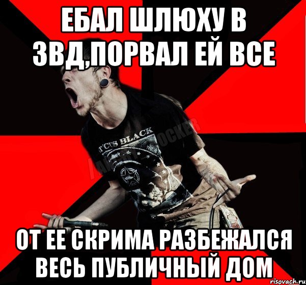 ебал шлюху в звд,порвал ей все от ее скрима разбежался весь публичный дом, Мем Агрессивный рокер