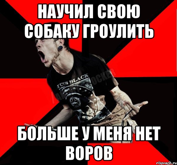 Научил свою собаку гроулить Больше у меня нет воров, Мем Агрессивный рокер