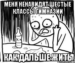 меня ненавидят шестые классы гимназии как дальше жить, Мем Алкоголик-кадр