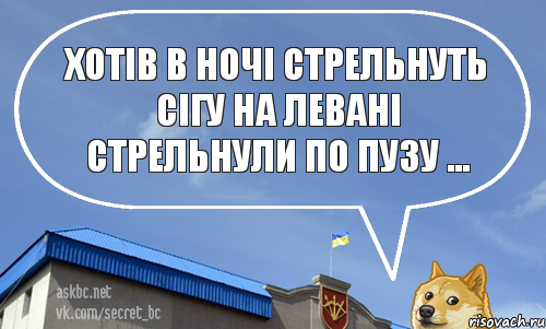 Хотів в ночі стрельнуть сігу на левані Стрельнули по пузу ...