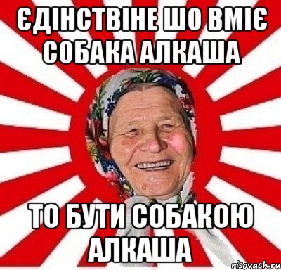 єдінствіне шо вміє собака алкаша то бути собакою алкаша, Мем  бабуля