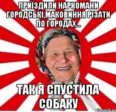 Приїздили наркомани городські,маковиння різати по городах... Так я спустила собаку, Мем  бабуля