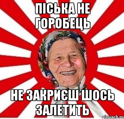 піська не горобець не закриєш шось залетить, Мем  бабуля