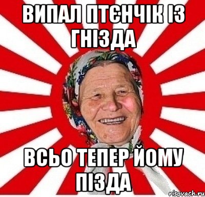 випал птєнчік із гнізда всьо тепер йому пізда, Мем  бабуля