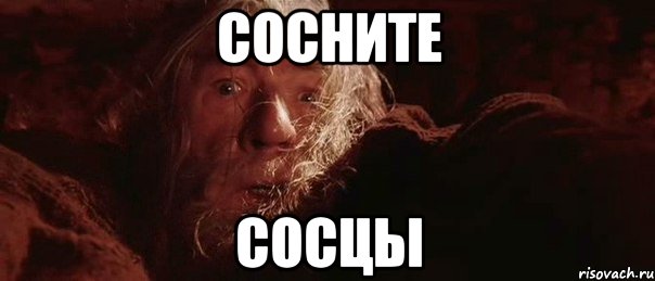 СОСНИТЕ СОСЦЫ