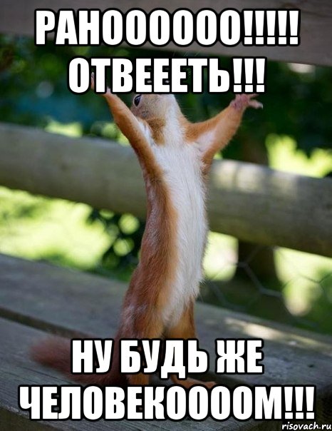 Раноооооо!!!!! Отвеееть!!! Ну будь же человекоооом!!!, Мем    белка молится