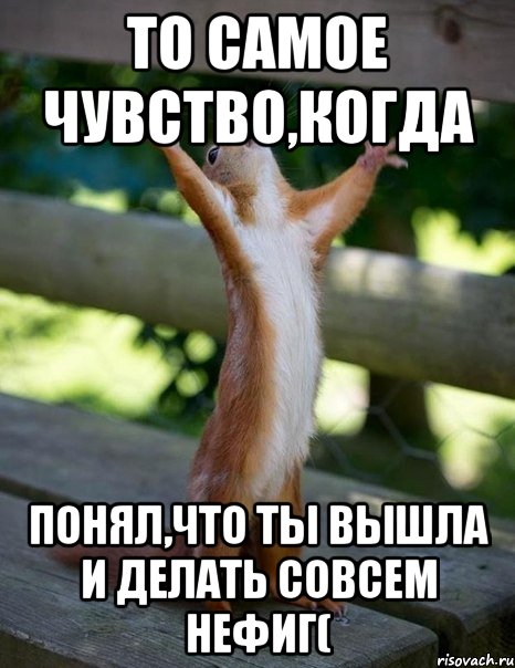 То самое чувство,когда понял,что ты вышла и делать совсем нефиг(, Мем    белка молится