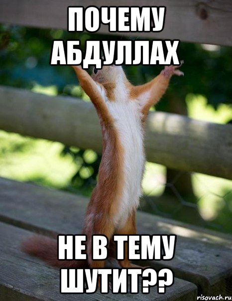 Почему Абдуллах не в тему шутит??, Мем    белка молится