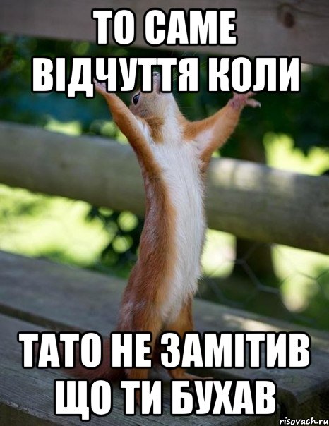 то саме відчуття коли тато не замітив що ти бухав, Мем    белка молится