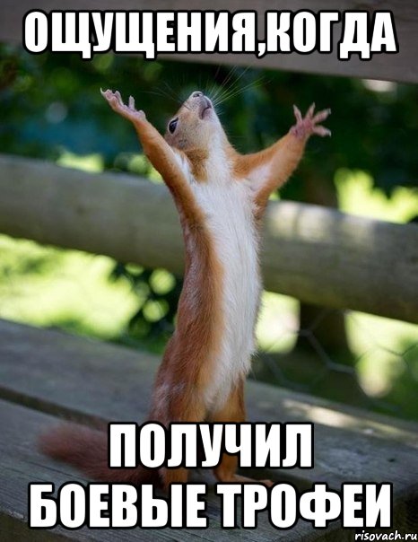 Ощущения,когда получил боевые трофеи, Мем    белка молится