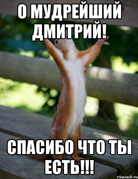 о мудрейший дмитрий! спасибо что ты есть!!!, Мем    белка молится