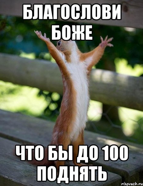 Благослови Боже Что бы до 100 поднять, Мем    белка молится