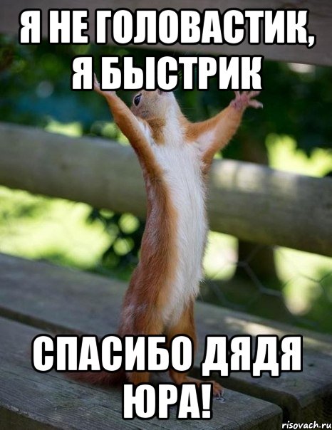 я не головастик, я быстрик спасибо Дядя Юра!, Мем    белка молится