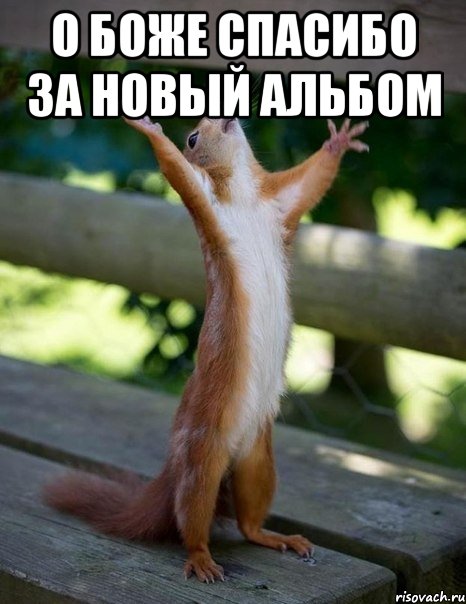 О боже спасибо за новый альбом , Мем    белка молится