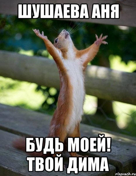 Шушаева Аня Будь моей! твой Дима, Мем    белка молится