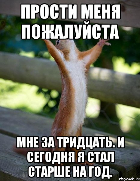 Прости меня пожалуйста Мне за тридцать. И сегодня я стал старше на год., Мем    белка молится