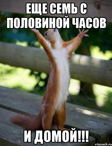 еще семь с половиной часов и домой!!!, Мем    белка молится