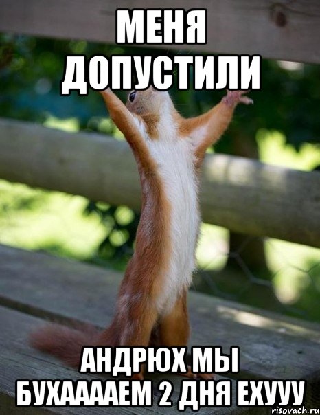 меня допустили Андрюх мы бухааааем 2 дня ехууу, Мем    белка молится