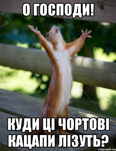 О Господи! Куди ці чортові Кацапи лізуть?, Мем    белка молится
