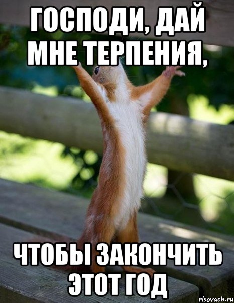 ГОСПОДИ, ДАЙ МНЕ ТЕРПЕНИЯ, ЧТОБЫ ЗАКОНЧИТЬ ЭТОТ ГОД, Мем    белка молится
