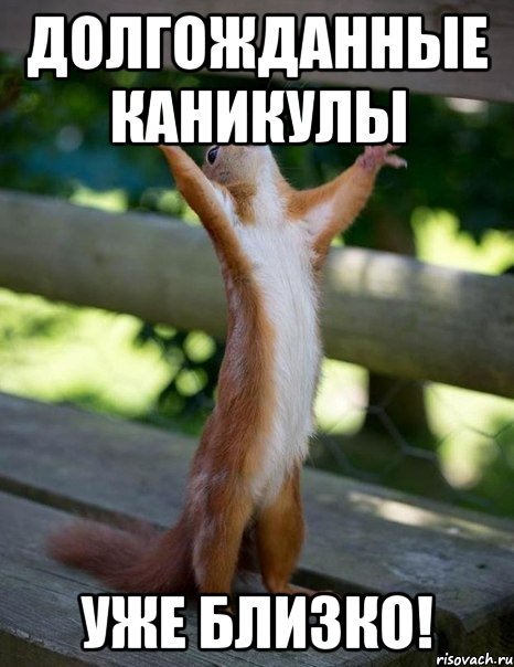 Долгожданные каникулы Уже близко!, Мем    белка молится