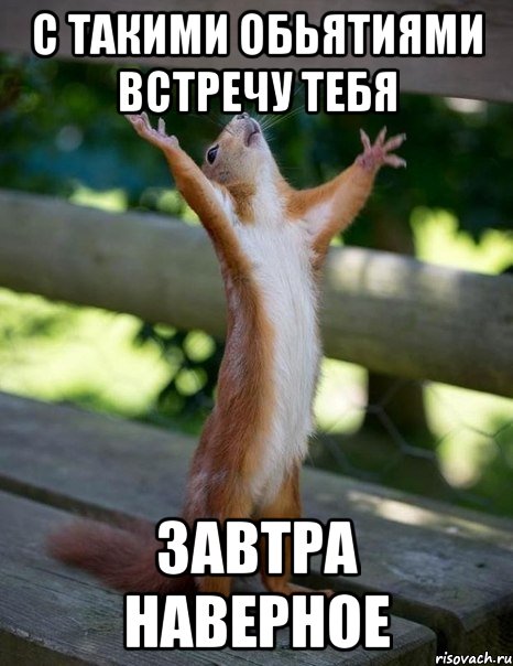 С Такими обьятиями встречу тебя Завтра наверное, Мем    белка молится