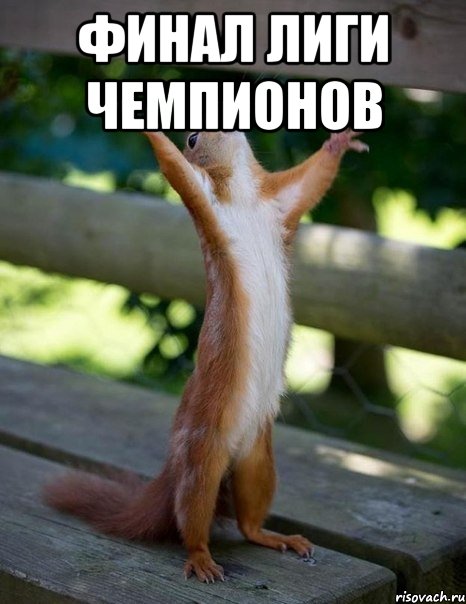 финал лиги чемпионов , Мем    белка молится