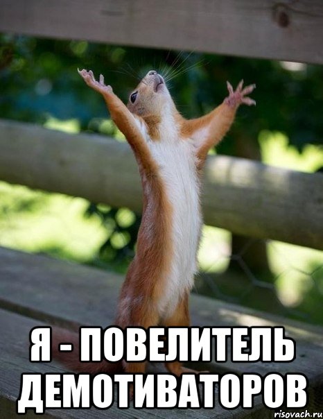  я - повелитель демотиваторов, Мем    белка молится