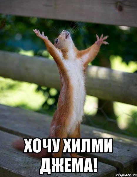  Хочу Хилми Джема!, Мем    белка молится
