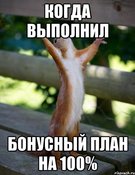 Когда выполнил бонусный план на 100%, Мем    белка молится