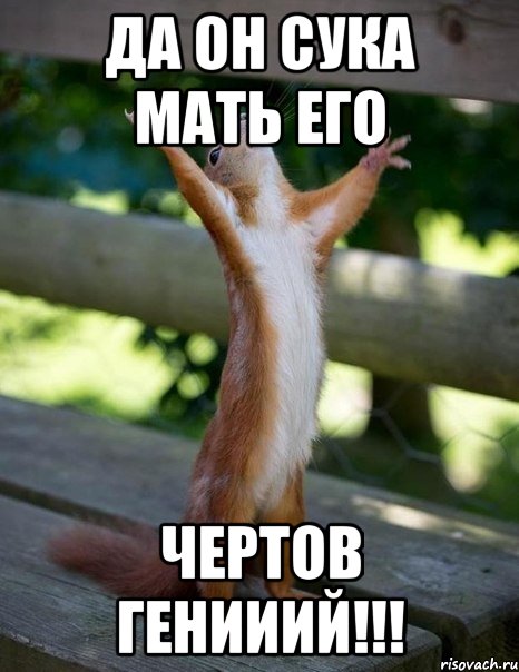 да он сука мать его чертов генииий!!!, Мем    белка молится