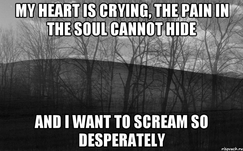 My heart is crying, The pain in the soul cannot hide And I want to scream so desperately