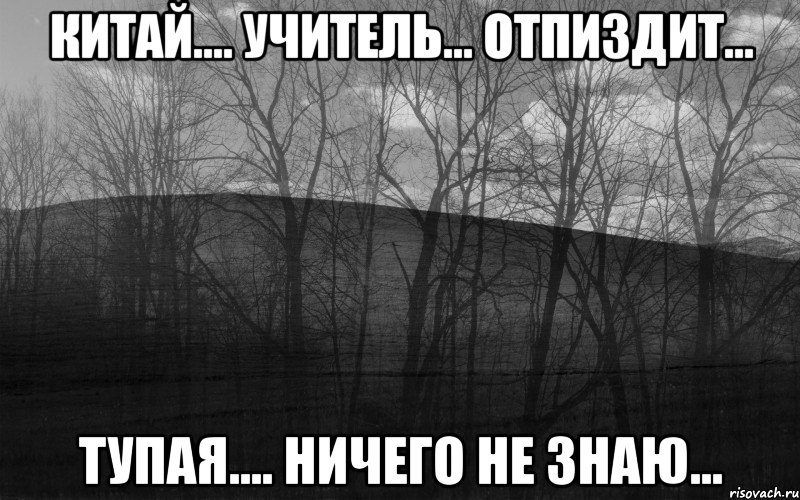 Китай.... Учитель... Отпиздит... тупая.... Ничего не знаю..., Мем безысходность лес