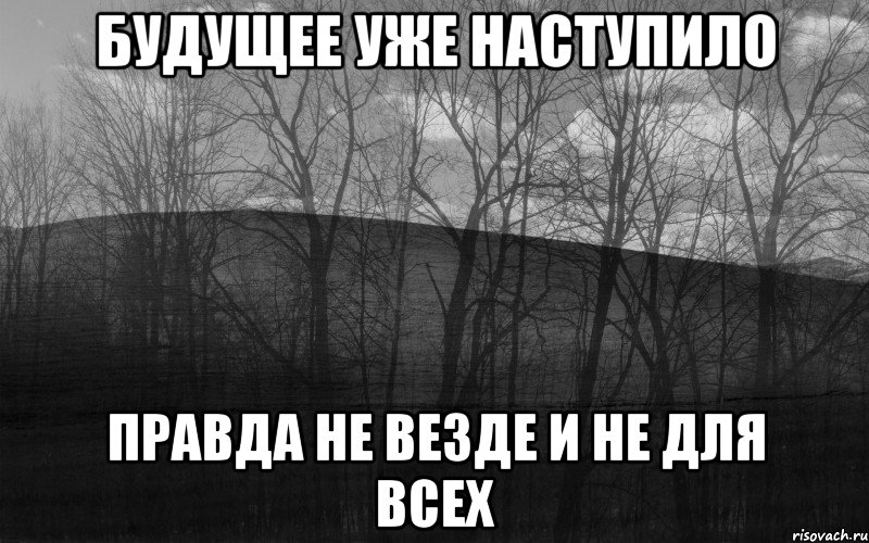 будущее уже наступило правда не везде и не для всех, Мем безысходность лес